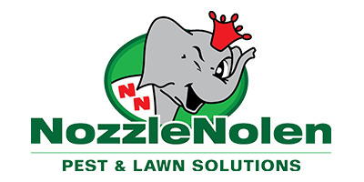 Nozzle Nolen