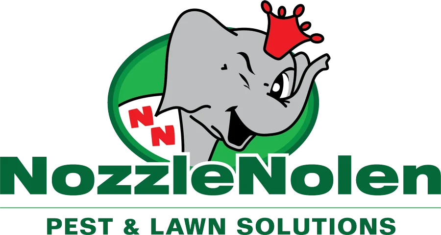 Nozzle Nolen